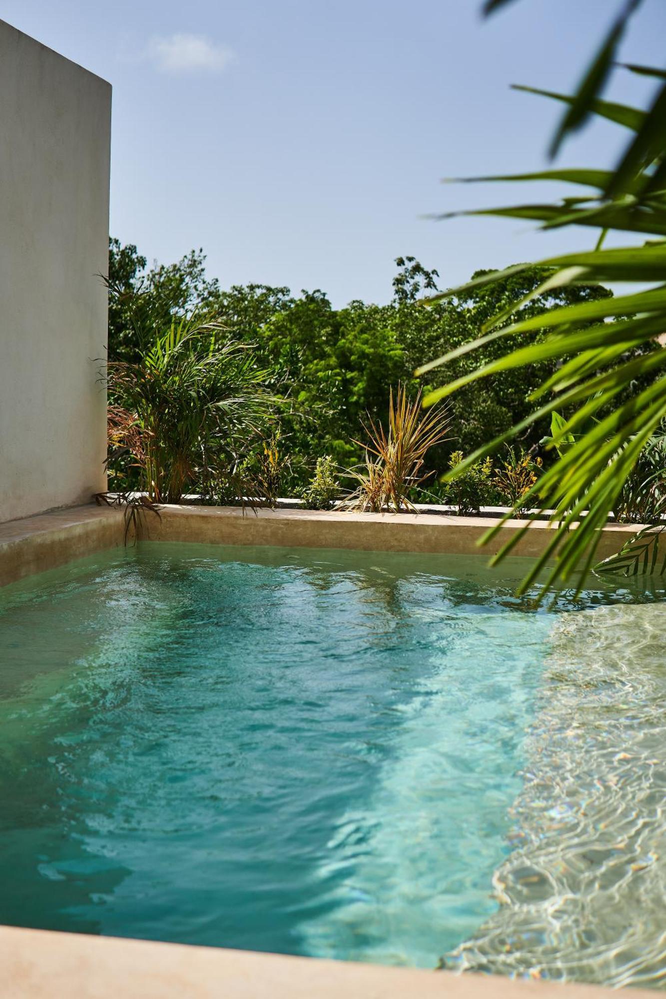 Spacious & Comfy Penthouse Oasis With Plunge Pool Tulum Exteriör bild